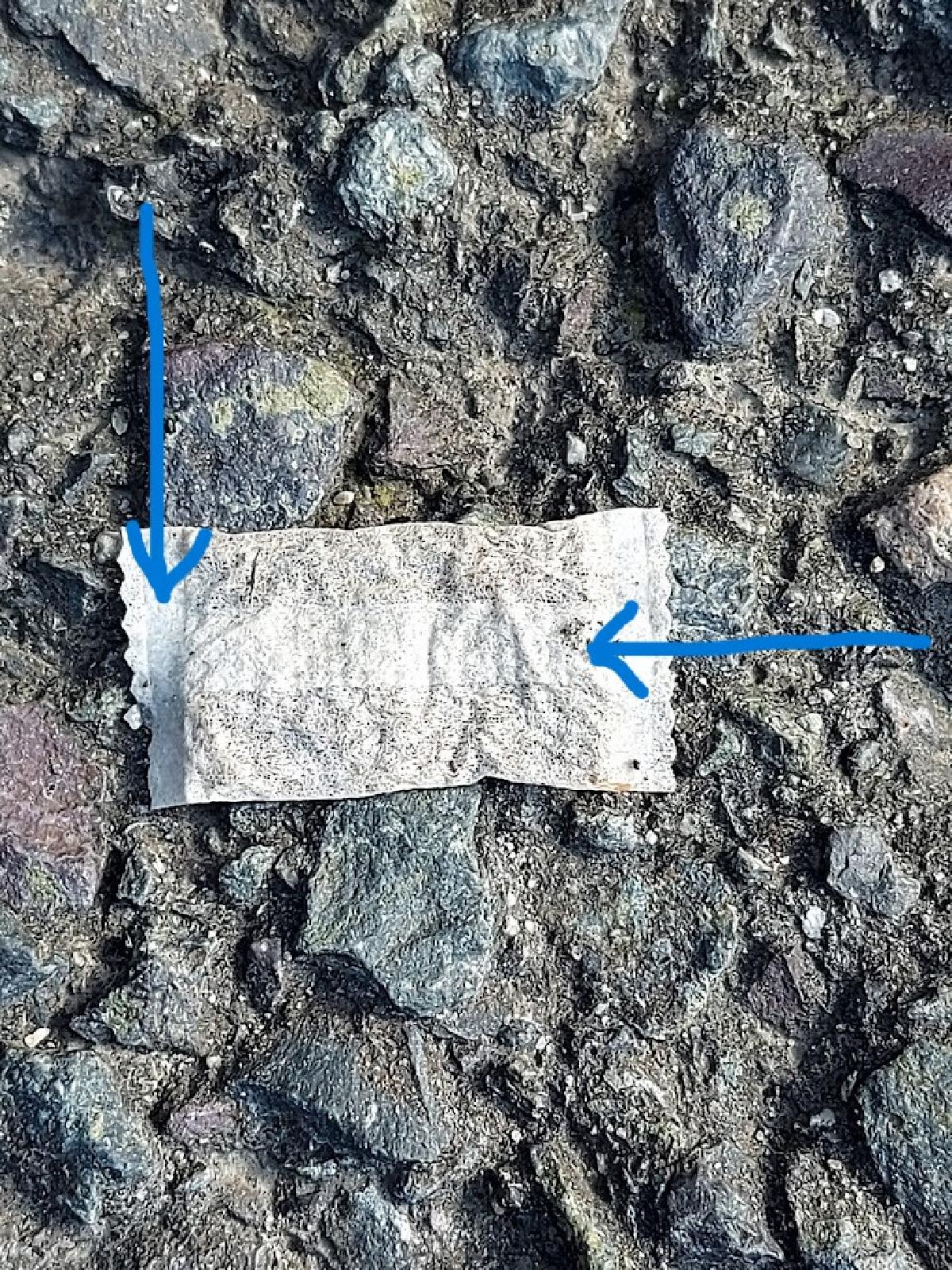 snus med plastmarkering.jpg